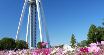 138 tower autumn festival ichinomiya aichi