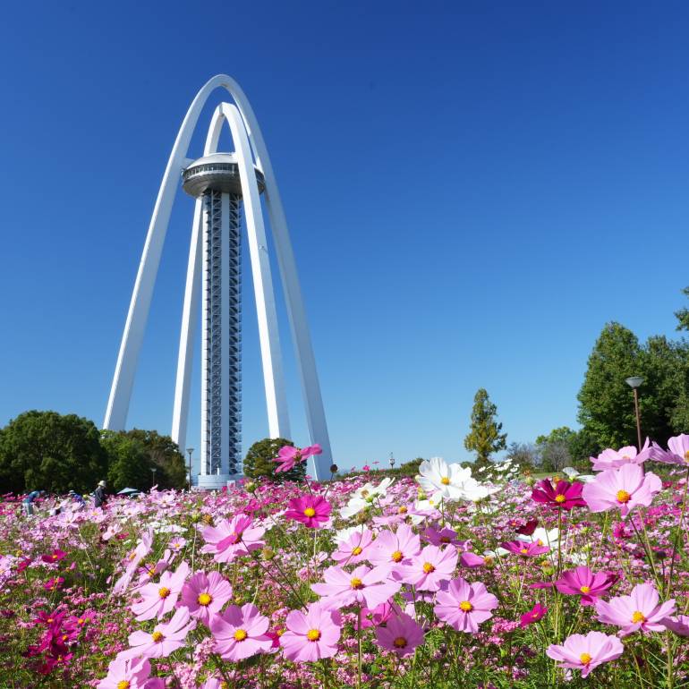 138 tower autumn festival ichinomiya aichi