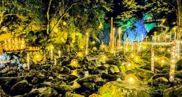 Akame 48 Falls Bamboo Lantern Festival