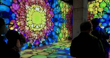 naked meets gaudi tokyo