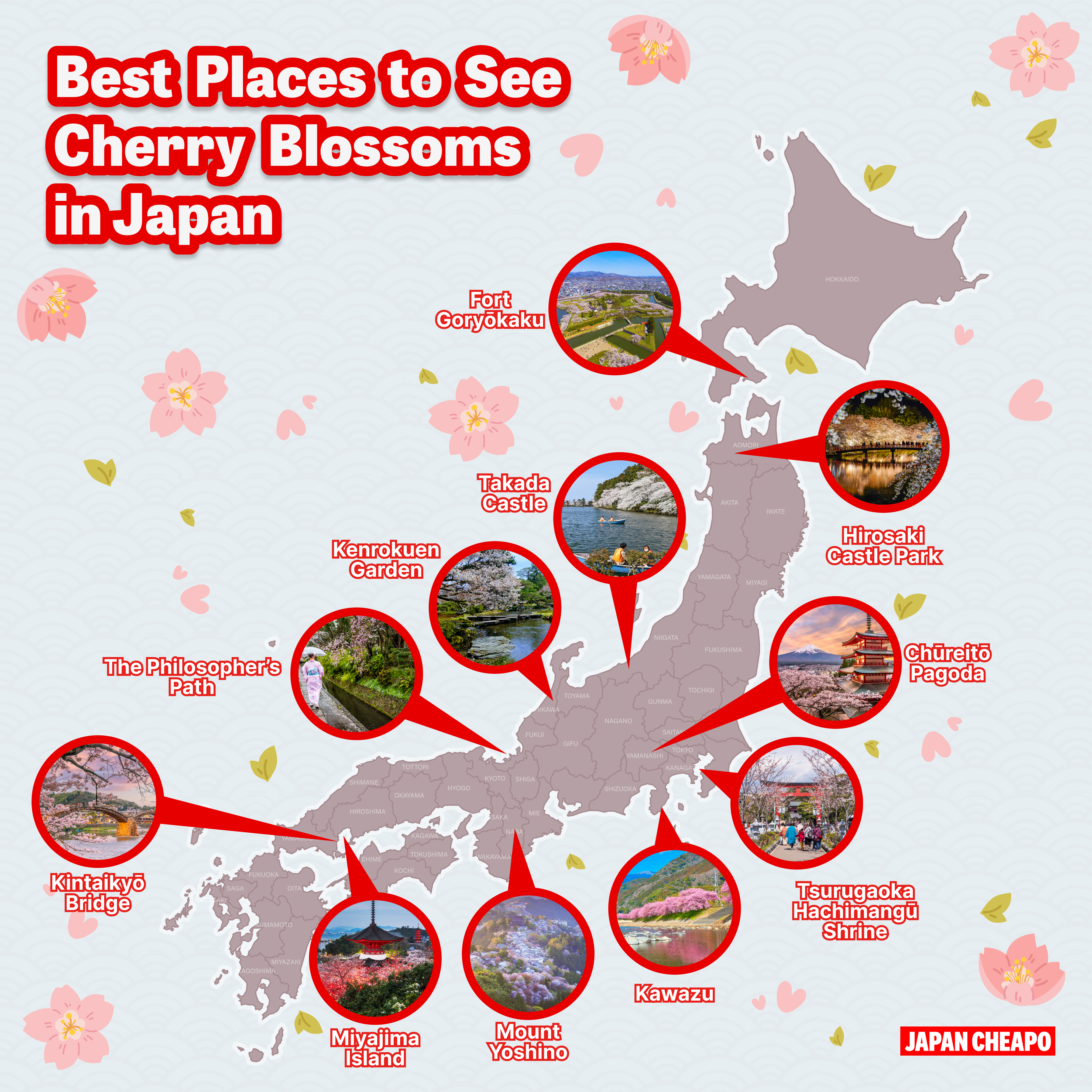 Cherry Blossoms in Japan 2026