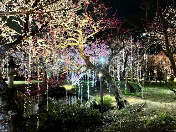 Mika Ninagawa's crystal installation at Kitano Tenmangu Shrine, Kyoto Nippon Festival 2026