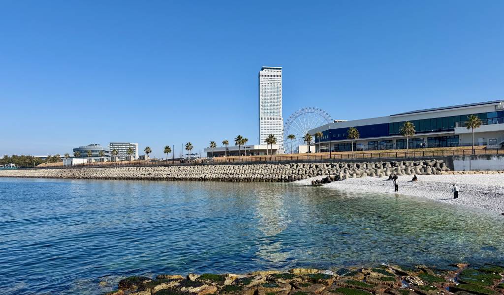 6 Things to Do in Rinku Town — Near Kansai Airport