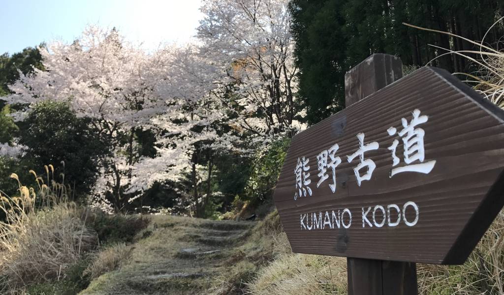 10-Day Japan Itinerary: Walking the Nakasendō and Kumano Kodō