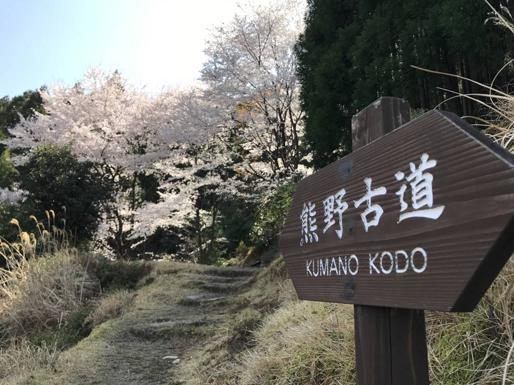 Kumano Kodo trail marker near Hongu