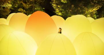 Glowing yellow ovoids at night with a person standing among them, part of teamLab's Autonomous Resonating Life at Fukuoka Castle Ruins