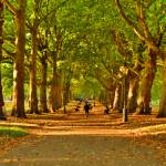fitness London
