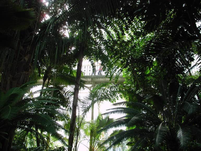 palm_house_kew