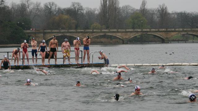 serpentine club swimmers