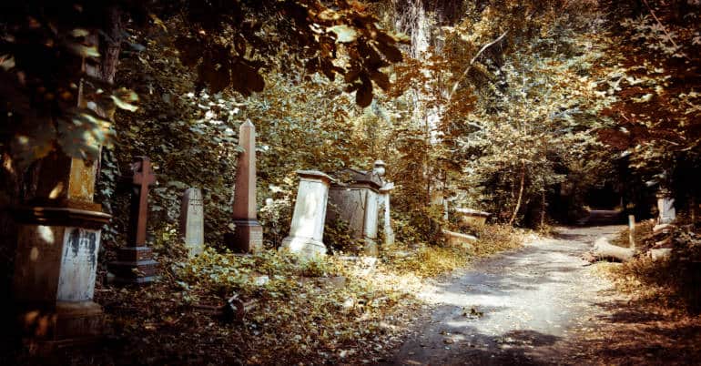 abney park