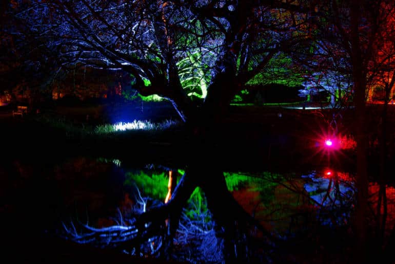 Syon Park Enchanted Woodland Trail