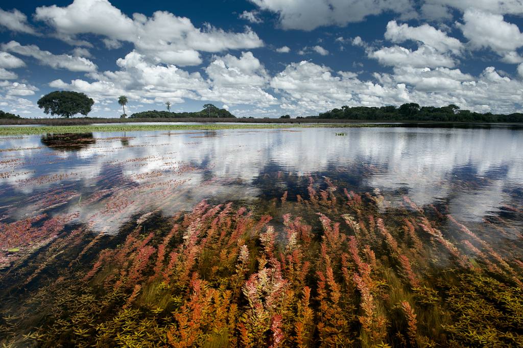 Water Pantanal Fire