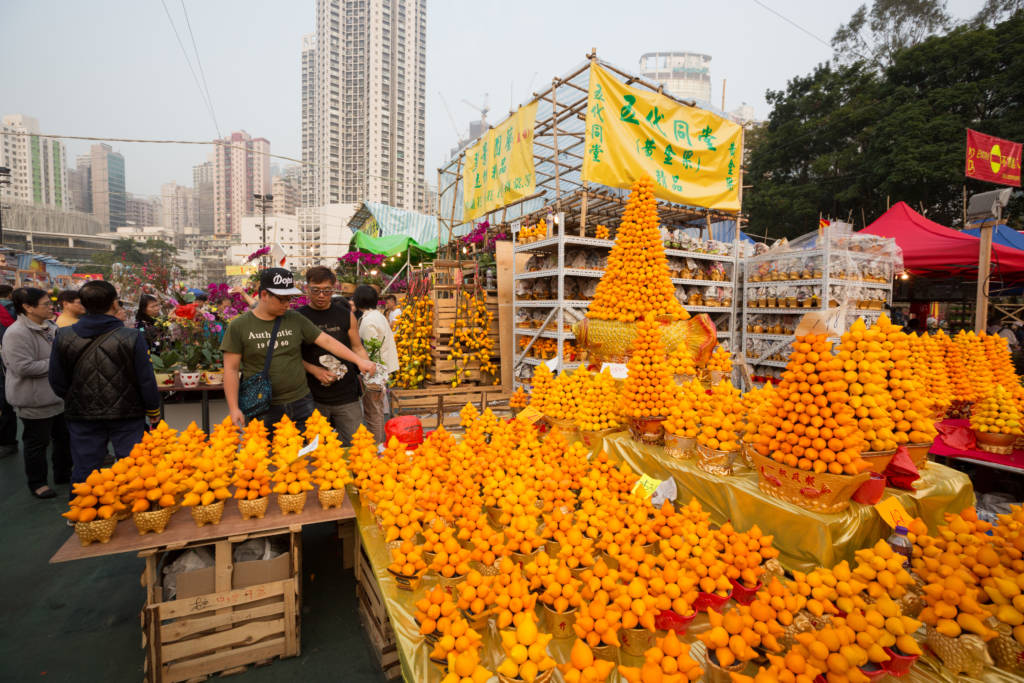 Lunar New Year Flower Markets, Early Feb 2025, 2025 Hong Kong Cheapo