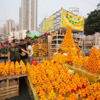 Chinese New Year Flower Markets 6th Feb 12th Feb 2021 Hong Kong Cheapo