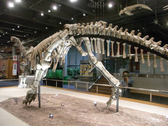 hk science museum