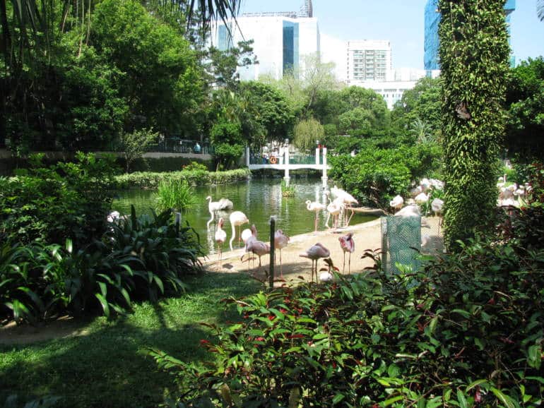 hong kong urban oases