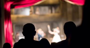 audience in the theater watching a play