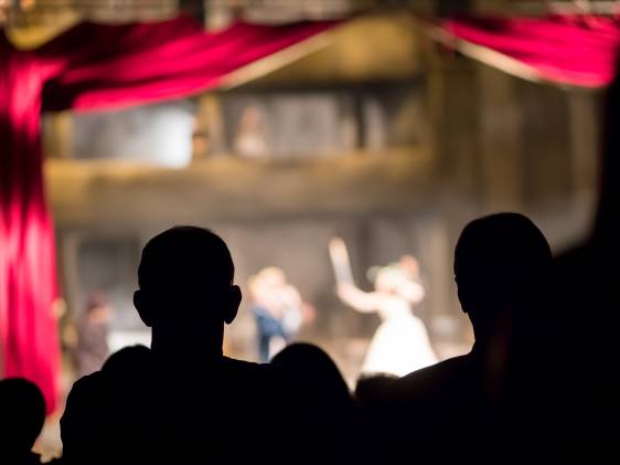 audience in the theater watching a play